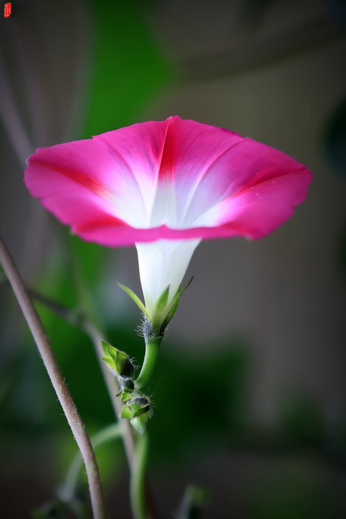 牽?；ㄐ∮? />
</span>
<span id=